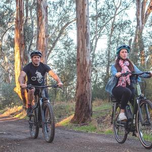 Riding Electric Mountain Bikes Echuca