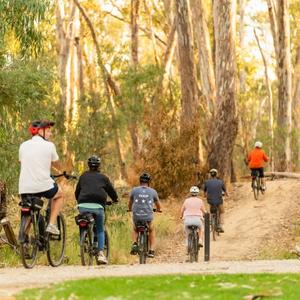 Bike Ride to Winery Tour